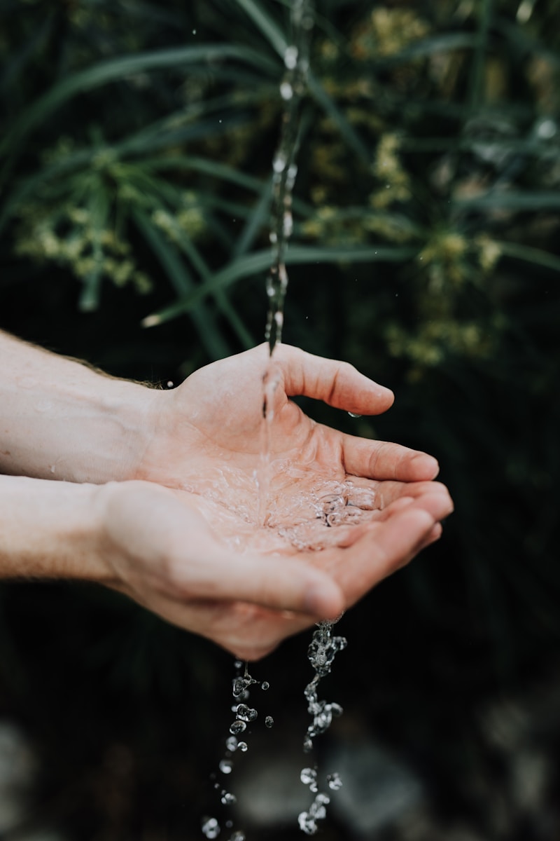 Water cascades from above into open hands, surrounded by lush greenery, symbolizing nature's purity and the importance of water conservation.
